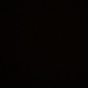 Meet your Posher, Gloria